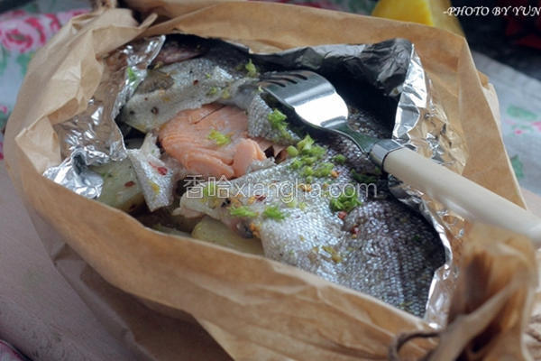 茴香鳟鱼纸包裹