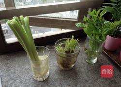 再生野菜面包的做法图解1