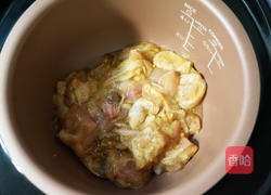 咖哩柠檬酸奶炖鸡的做法图解7