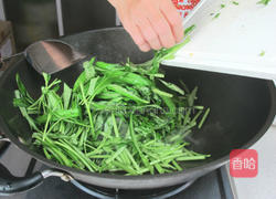 豆瓣空心菜的做法图解6