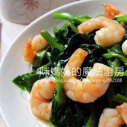 料理豆苗虾仁的做法[图]