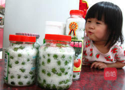 白葡萄酒的做法图解8