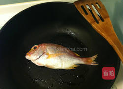 番茄酱烧赤鱼鯮的做法图解4