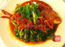 番茄酱烧赤鱼鯮的做法图解9