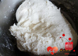 鲜肉汤圆的做法图解6