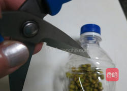 豆芽教的做法图解3