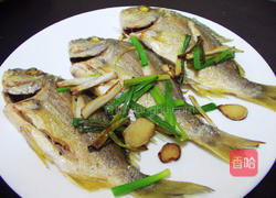 葱姜香煎鱼的做法图解4