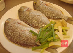 葱姜香煎鱼的做法图解1