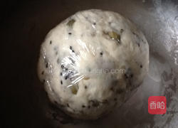 南瓜籽芝麻小煎饼的做法图解4