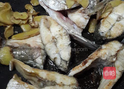 麻油鲈鱼汤的做法图解2