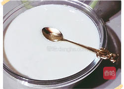 自制酸奶的做法图解6