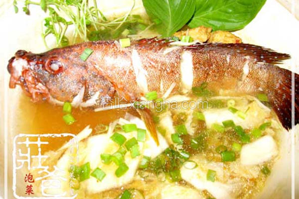 庄爸泡菜酸鱼汤
