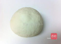 薄皮玛格丽特披萨的做法图解4