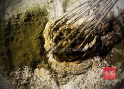 大地苹果花塔的做法图解2