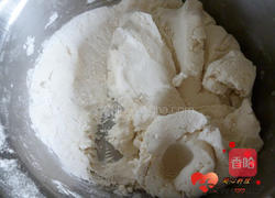 鲜肉汤圆的做法图解1