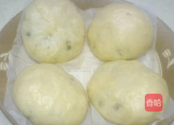 酸菜鸡肉包的做法图解8