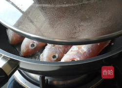 香煎金线鱼的做法图解3