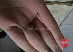 麻辣葱香豆腐的做法图解5