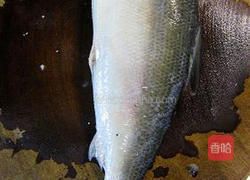 虱目鱼肚的做法图解5