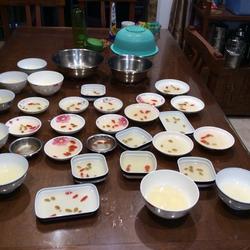 下果冻粉的做法[图]