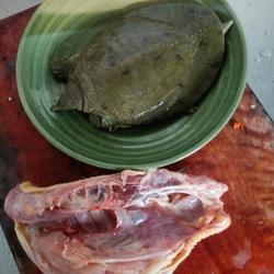 红烧土鸡的做法[图]