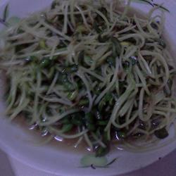 清炒豆苗的做法[图]