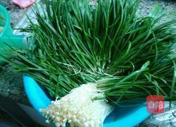 薯粉饺子的做法图解1