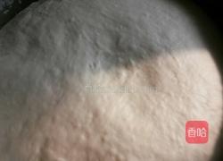 懒龙的做法图解1