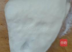 老北京千层牛肉饼。的做法图解7