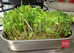 清炒菇菇豌豆苗的做法图解15