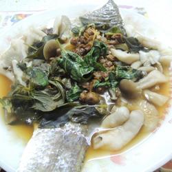 清蒸九层塔菇鱼排的做法[图]
