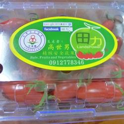 玉女小番茄的做法[图]