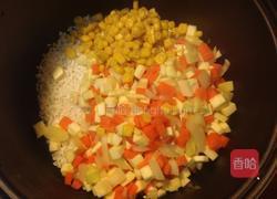 鲑鱼饭的做法图解8