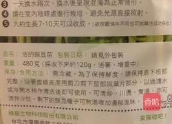 清炒菇菇豌豆苗的做法图解5