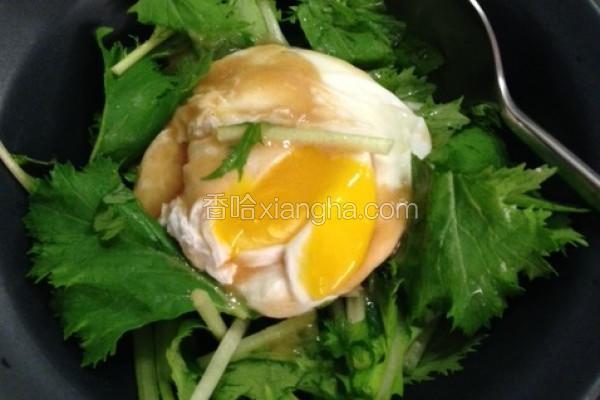 蒸鸡蛋水菜沙拉