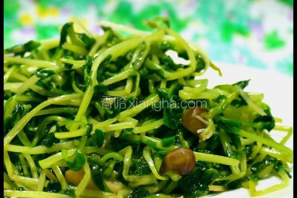 蒜香豌豆苗