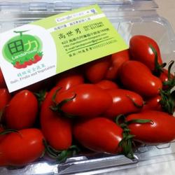 小番茄的做法[图]