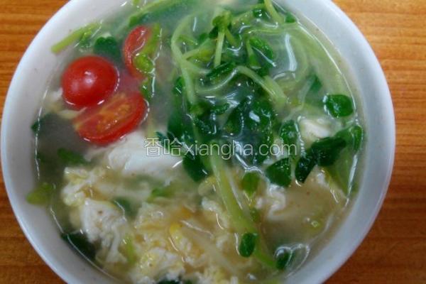 活力豆苗蛋花汤