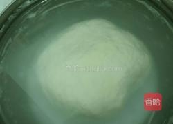 茄汁面疙瘩的做法图解2