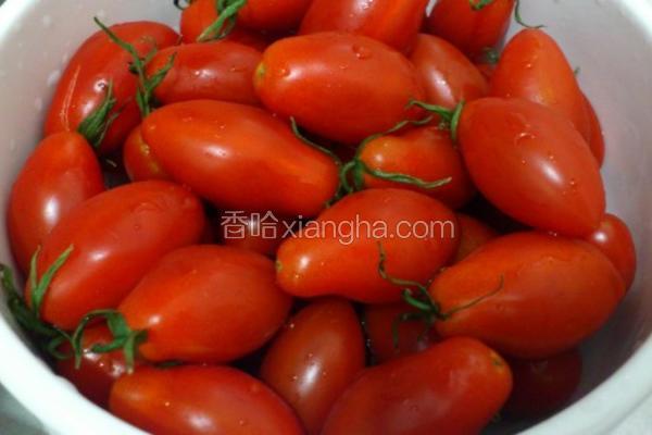 玉女小番茄