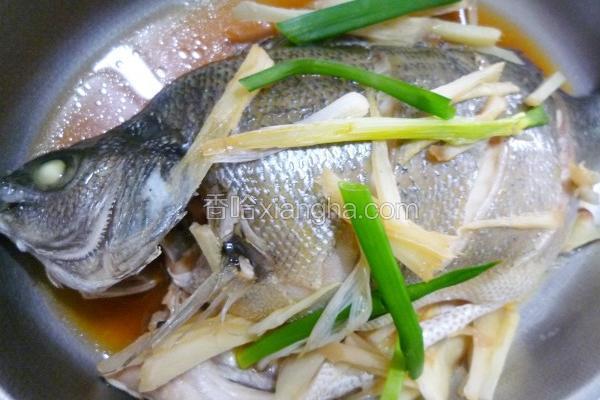 葱姜清蒸银鲈