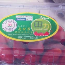 番茄煎蛋的做法[图]