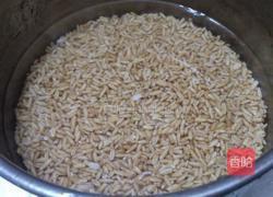 燕麦红豆汤的做法图解2