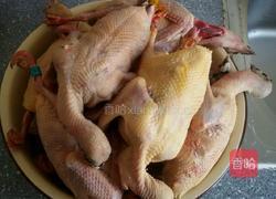酱香信鸽。的做法图解1