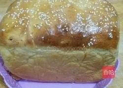 酸奶吐司面包的做法图解11