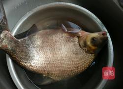 垮炖武昌鱼的做法图解1