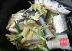 针鲮鱼炖香椿的做法图解4