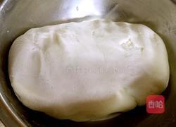 青团,彩团的做法图解4