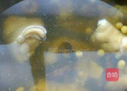 猪蹄下奶汤的做法图解3