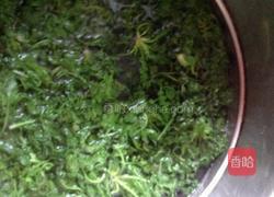 荠菜肉包子的做法图解2